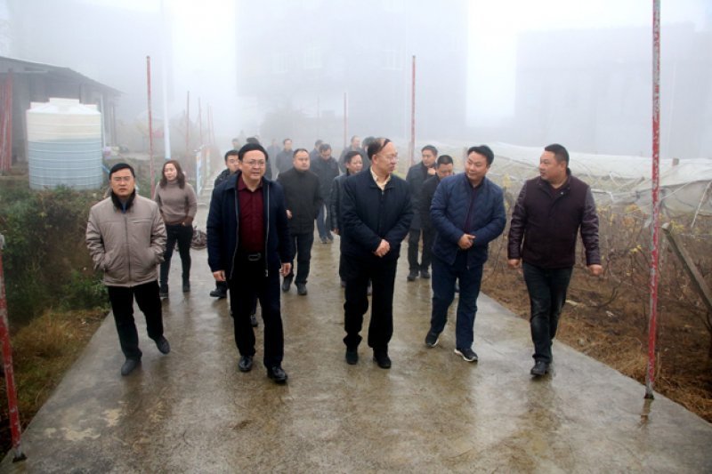 刘远坤率队到兴仁调研脱贫成效巩固