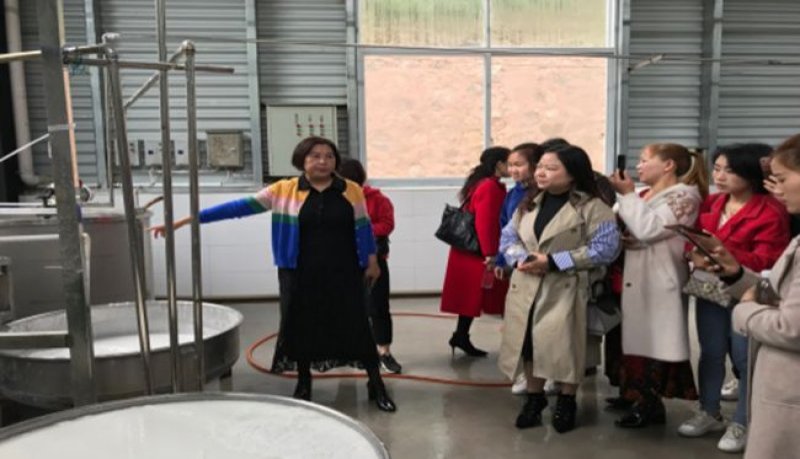 青溪幼儿园膳食委员会家长代表到学