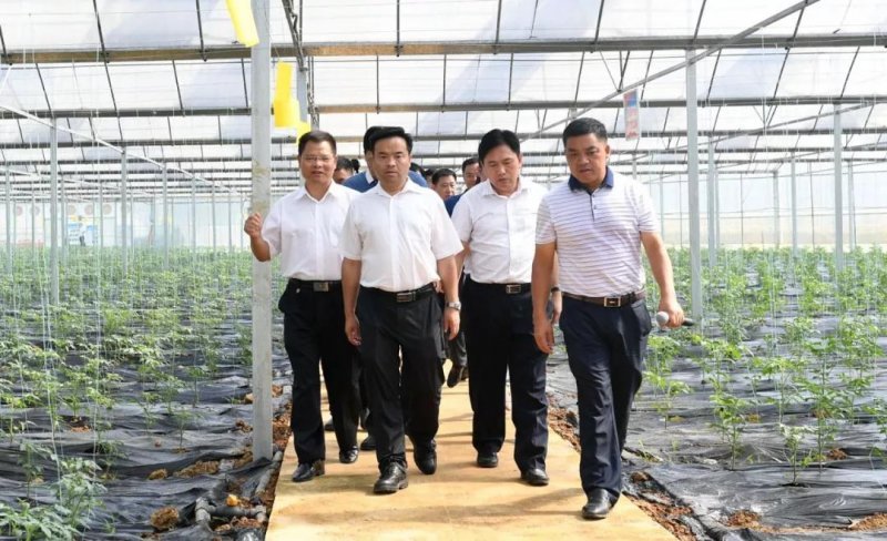 陈昌旭:深入推进农村产业革命 全力