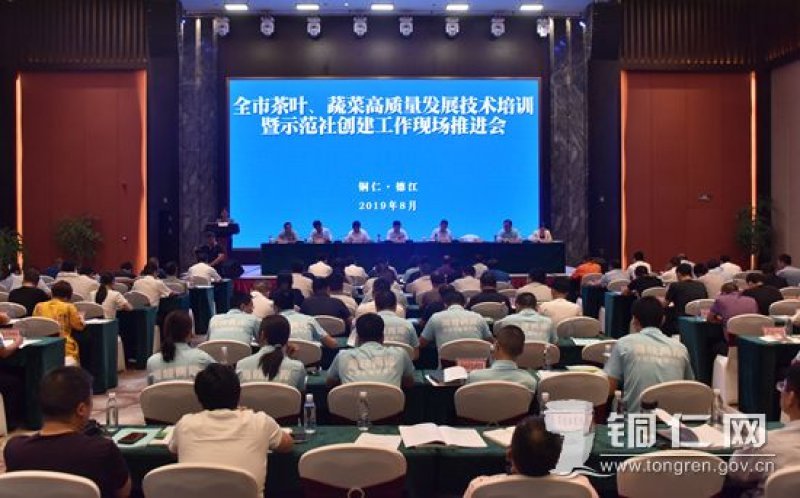 全市茶叶、蔬菜高质量发展技术培训