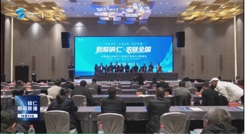 全国首个区域产业数字化结算枢纽落