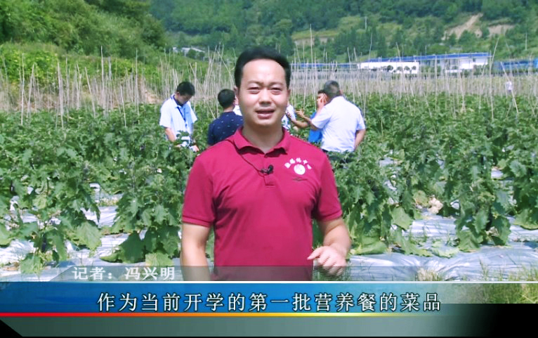 <b>碧江和平:大数据引领多平台销售 坝区</b>